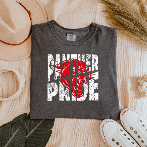 DC Panther Pride Gildan T-shirt