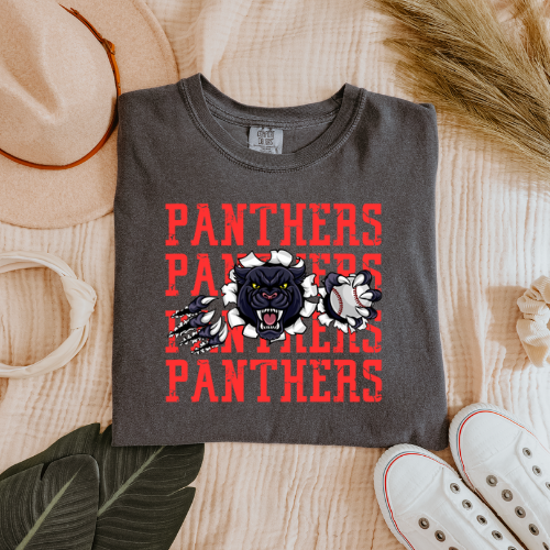 DC Panthers Baseball Gildan T-shirt
