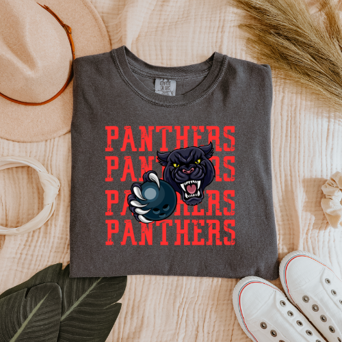 DC Panthers Bowling Gildan T-shirt