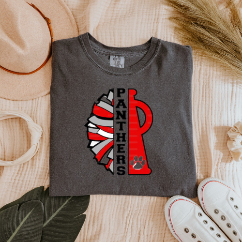 DC Panthers Cheer Gildan T-shirt