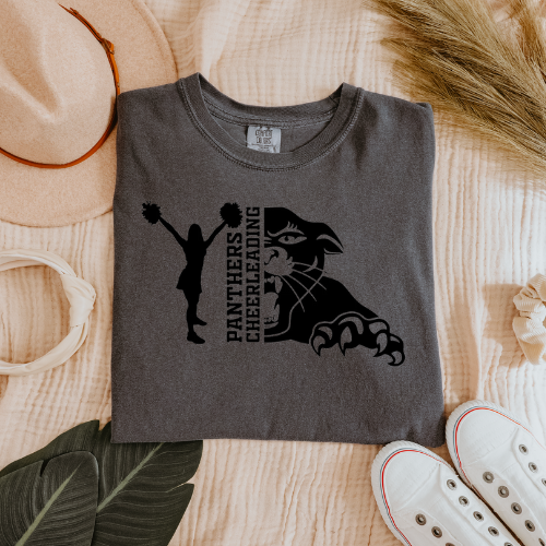 DC Panthers Cheerleading Gildan T-shirt