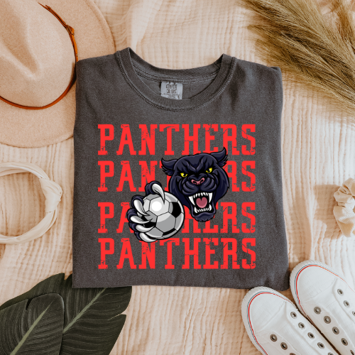 DC Panthers Soccer Gildan T-shirt