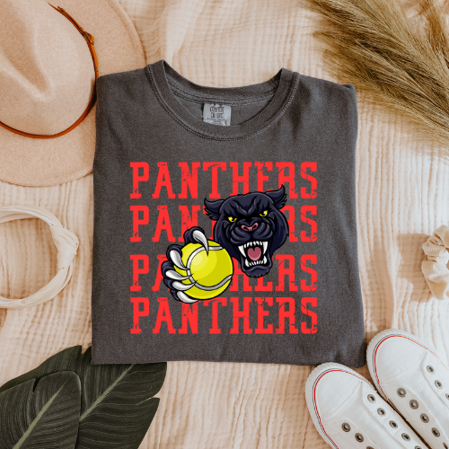 DC Panthers Tennis Gildan T-shirt