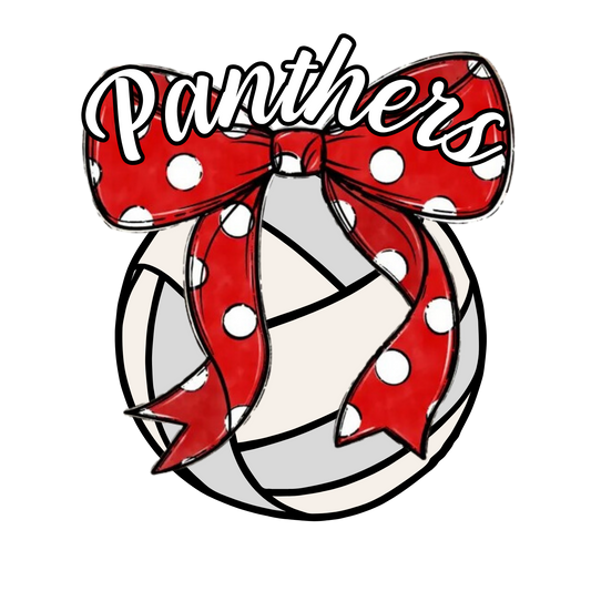 DC PANTHERS VOLLEYBALL GILDAN TSHIRT