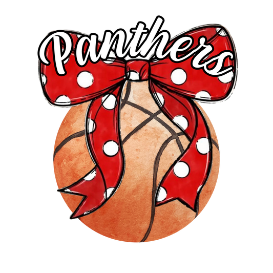 DC PANTHERS BASKETBALL GILDAN TSHIRT